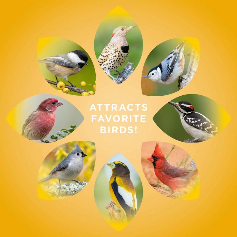 slide 6 of 8, Audubon Park black Oil Sunflower 5lb, 5 lb