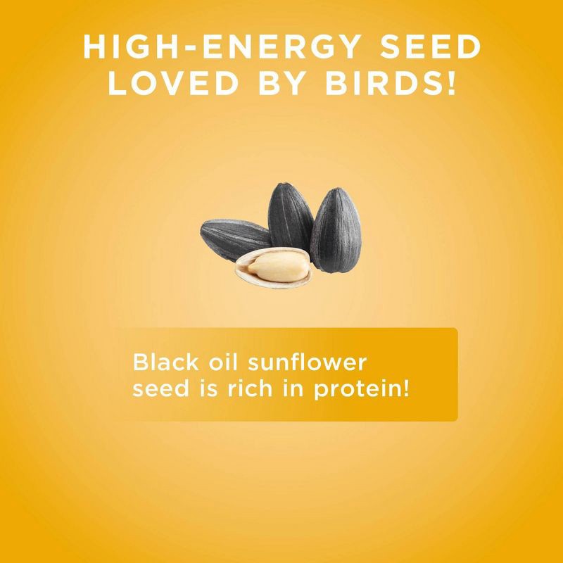 slide 7 of 8, Audubon Park black Oil Sunflower 5lb, 5 lb