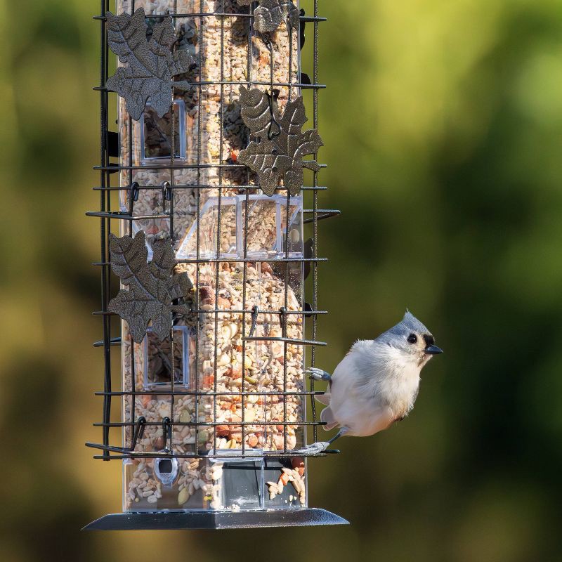 slide 5 of 13, Perky-Pet Squirrel Be Gone Bird Feeder, 1 ct