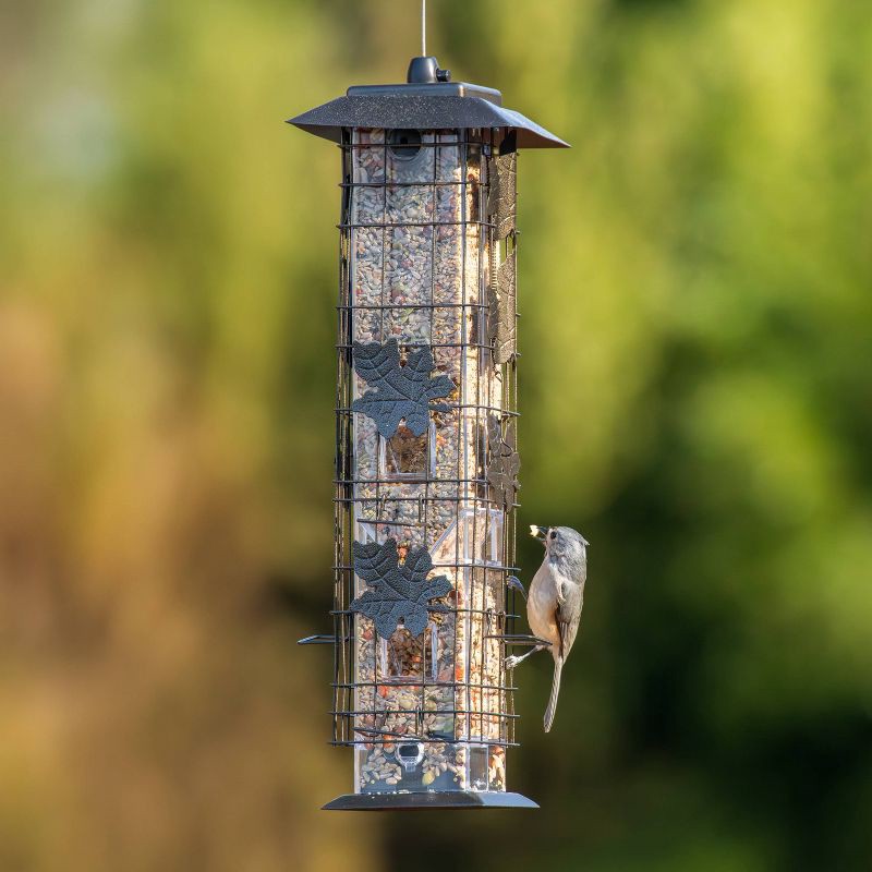 slide 6 of 13, Perky-Pet Squirrel Be Gone Bird Feeder, 1 ct
