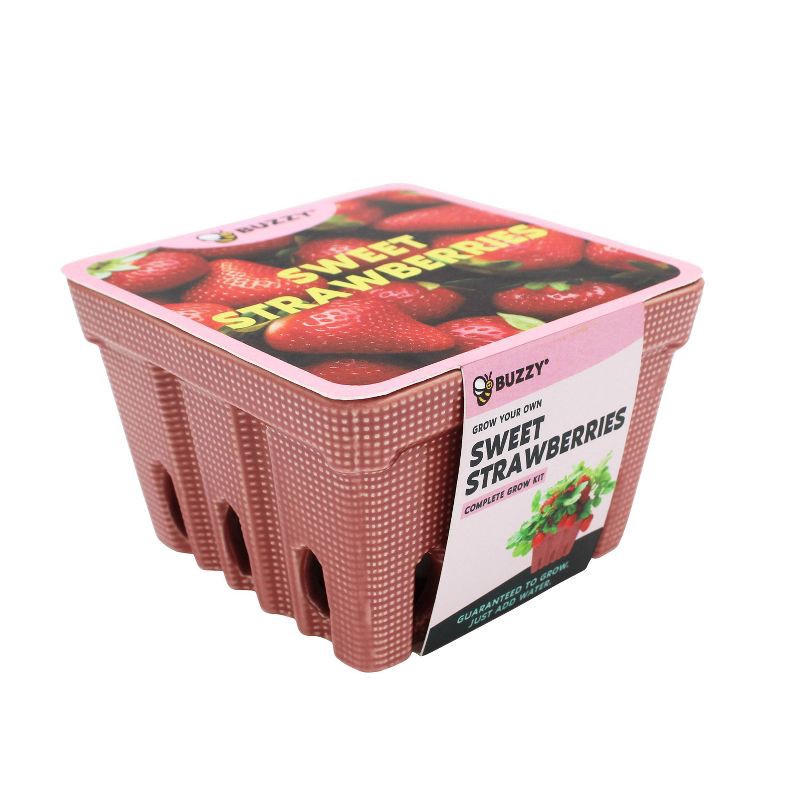 slide 2 of 5, Buzzy Seeds Strawberry Red Fruit Kit, 1 ct