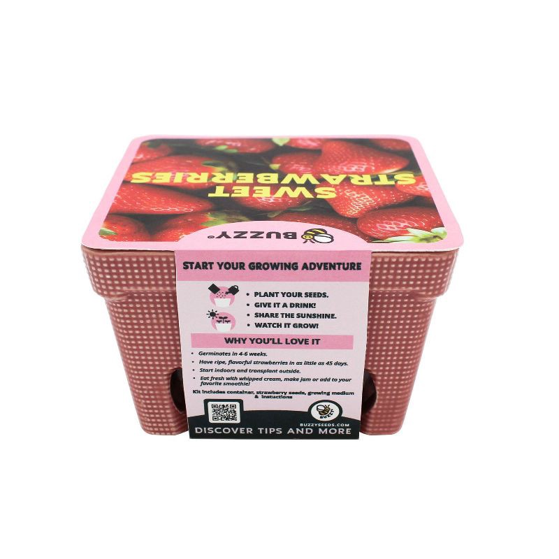 slide 3 of 5, Buzzy Seeds Strawberry Red Fruit Kit, 1 ct