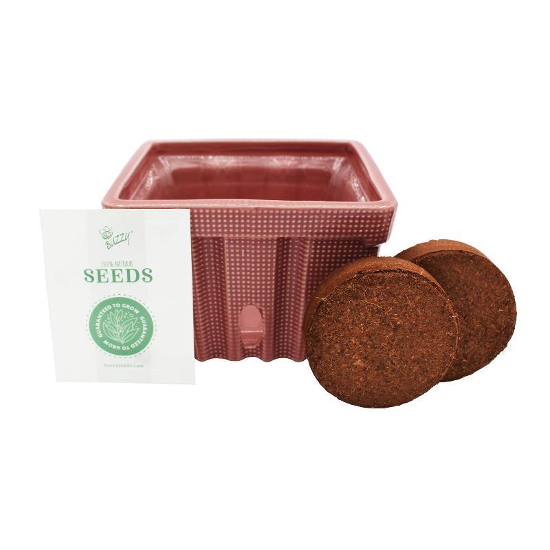 slide 4 of 5, Buzzy Seeds Strawberry Red Fruit Kit, 1 ct