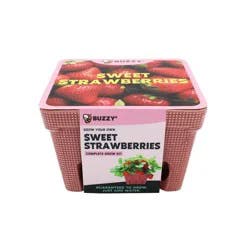 Buzzy Seeds Strawberry Red Fruit Kit