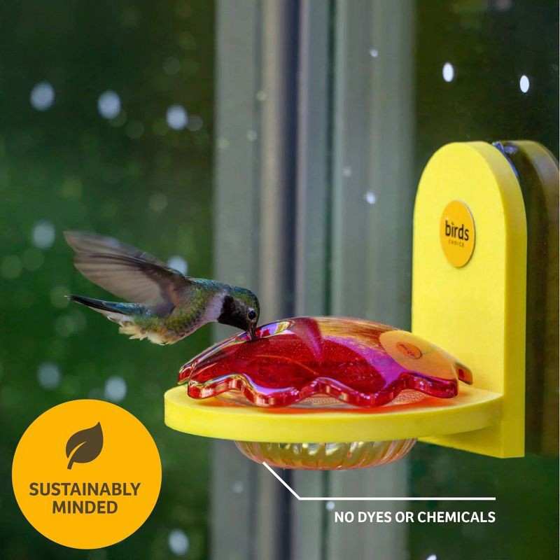 slide 3 of 5, Birds Choice Hummingbird and Oriole Nectar 8 oz, 8 oz