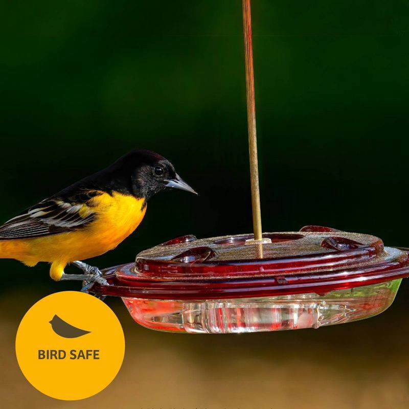 slide 4 of 5, Birds Choice Hummingbird and Oriole Nectar 8 oz, 8 oz