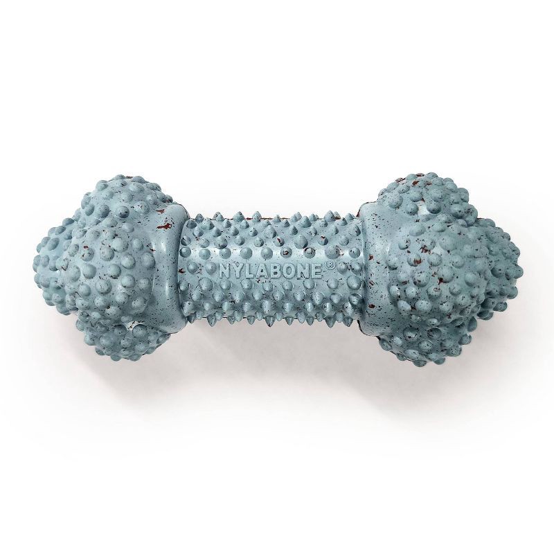 slide 3 of 4, Nylabone Strong Rubber Small Dog Barbell Toy - Blue, 1 ct