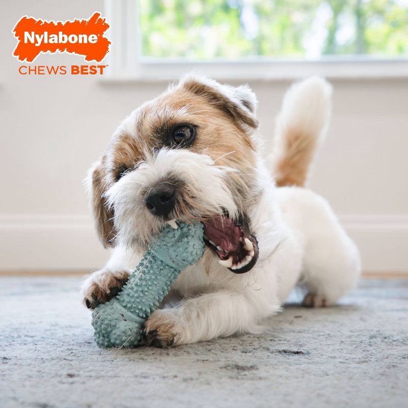 slide 4 of 4, Nylabone Strong Rubber Small Dog Barbell Toy - Blue, 1 ct