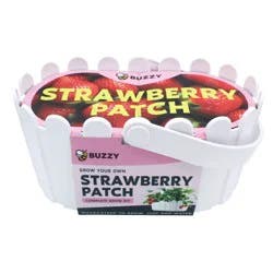Buzzy Seeds Strawberry White Fruit Kit