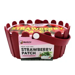 Buzzy Seeds Strawberry Pink Fruit Kit