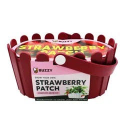 Buzzy Seeds Strawberry Pink Fruit Kit