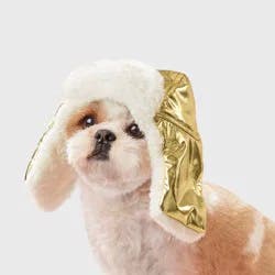 Gold Trapper Dog Hat - Boots & Barkley™ XXS/XS