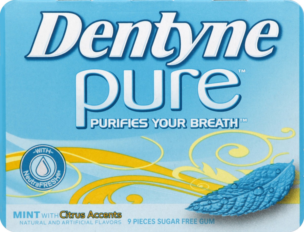 slide 8 of 8, Dentyne Gum 9 ea, 9 ct