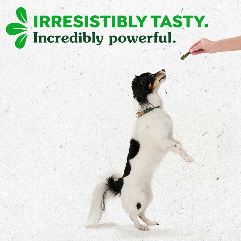 slide 6 of 11, Greenies Pumpkin Spice Flavor Teenie Dental and Hard Chews Dog Treats - 6oz/22ct, 6 oz, 22 ct