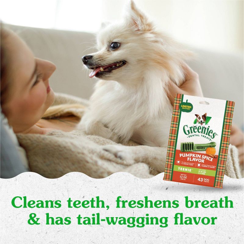 slide 8 of 11, Greenies Pumpkin Spice Flavor Teenie Dental and Hard Chews Dog Treats - 6oz/22ct, 6 oz, 22 ct