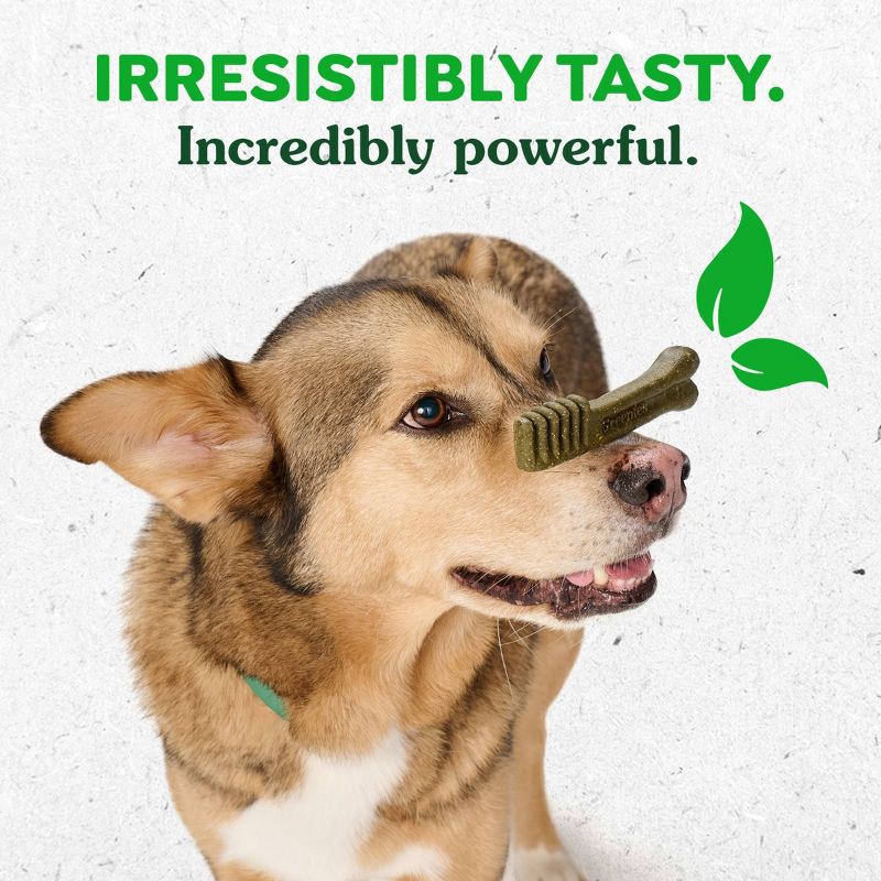 slide 6 of 11, Greenies Pumpkin Spice Flavor Large Dental and Hard Chews Dog Treats - 6oz/4ct, 4 ct; 6 oz