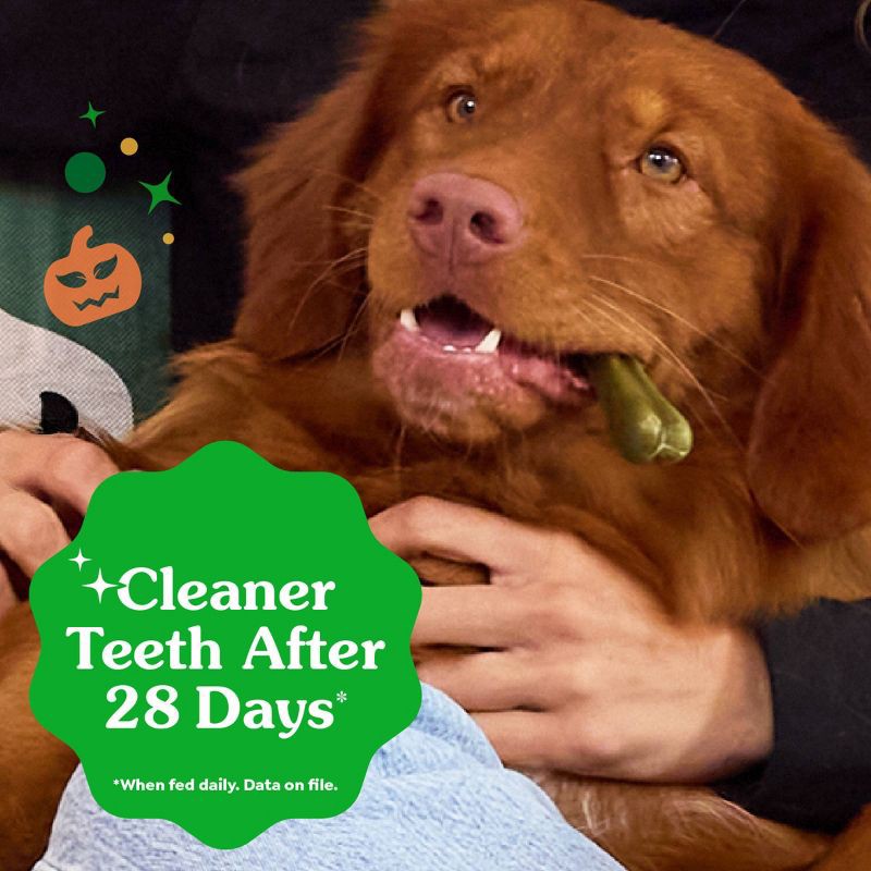 slide 5 of 12, Greenies Pumpkin Spice Flavor Regular Dental and Hard Chews Dog Treats - 6oz/6ct, 6 ct; 6 oz