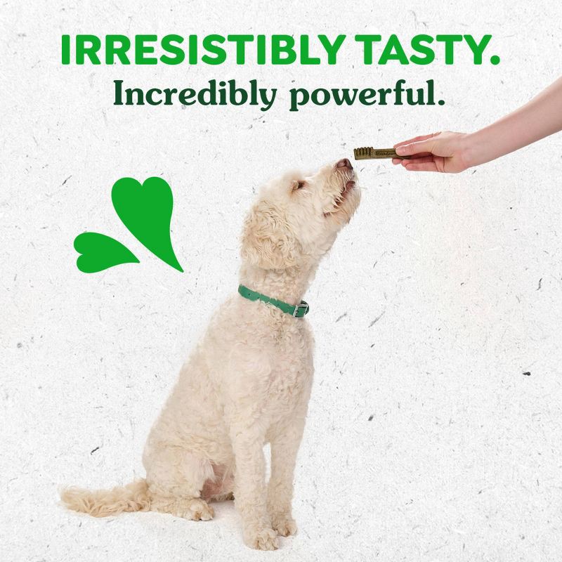 slide 6 of 12, Greenies Pumpkin Spice Flavor Regular Dental and Hard Chews Dog Treats - 6oz/6ct, 6 ct; 6 oz