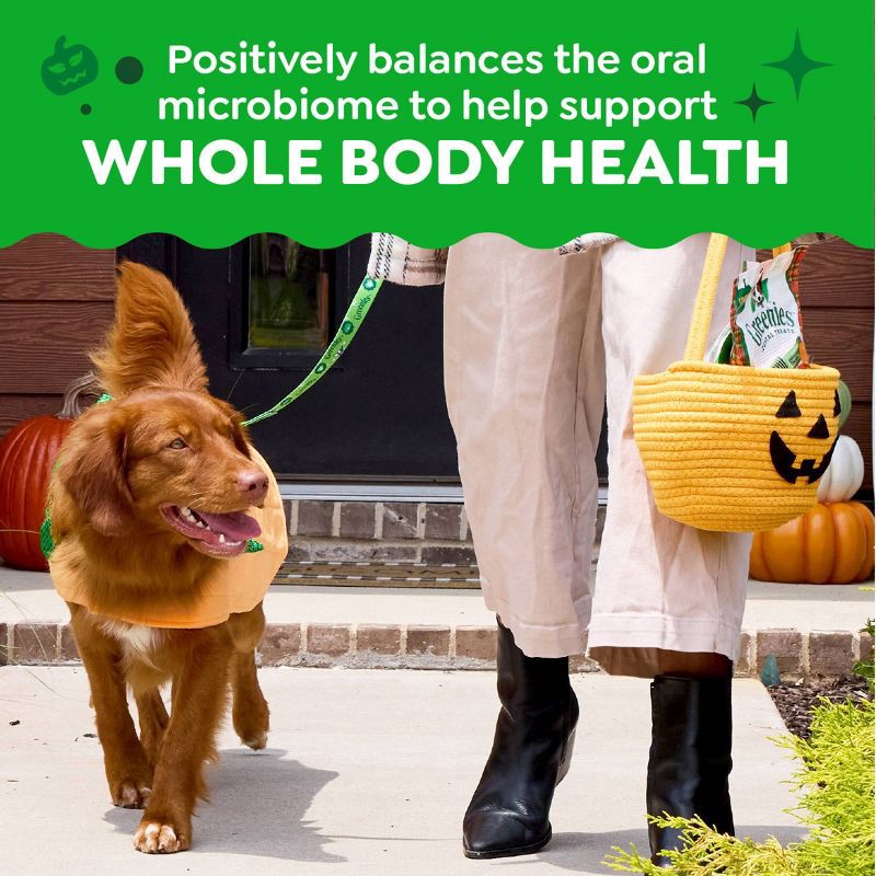 slide 9 of 12, Greenies Pumpkin Spice Flavor Regular Dental and Hard Chews Dog Treats - 6oz/6ct, 6 ct; 6 oz