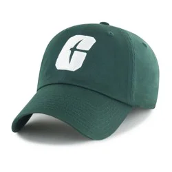 NCAA Charlotte 49ers Clean Up Baseball Hat