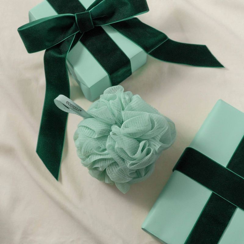 slide 3 of 4, EcoTools Delicate Bath Sponge - Green, 1 ct