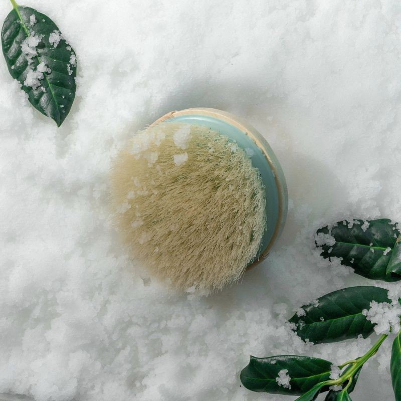 slide 3 of 4, EcoTools Hand-held Dry Brush, 1 ct