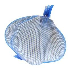 Fresh Organic Elephant Garlic