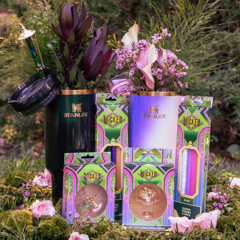 slide 6 of 11, CharCharms 4pk 30oz Water Bottle Straws Wicked 2 Elphaba, 4 ct; 30 oz