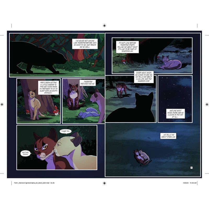 slide 2 of 5, Harper Collins Warriors: Tigerstar And Sasha - by Erin Hunter (Paperback), 1 ct