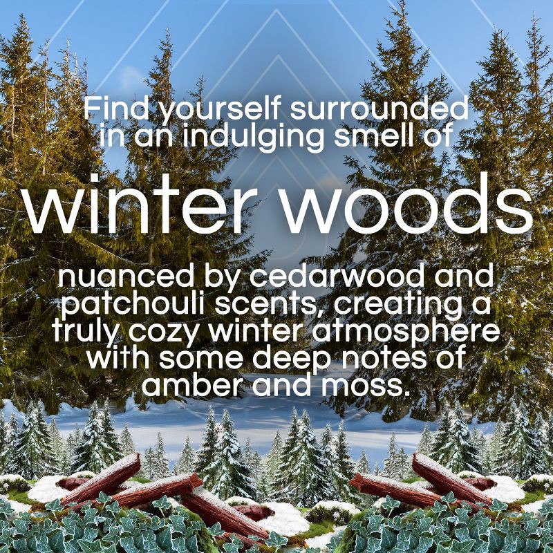 slide 3 of 8, Air Wick Scented Oil Vibrant Air Fresheners - Winter Woods & Ivy - 3ct, 3 ct