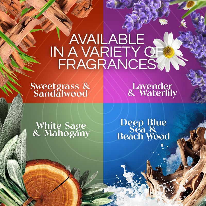 slide 5 of 8, Air Wick Scented Oil Vibrant Air Fresheners - Winter Woods & Ivy - 3ct, 3 ct