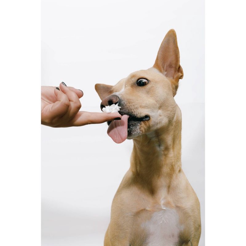 slide 4 of 5, PupCup! Dog Whipped Cream Peanut Butter Flavor Dog Treat - 6.5oz, 6.5 oz