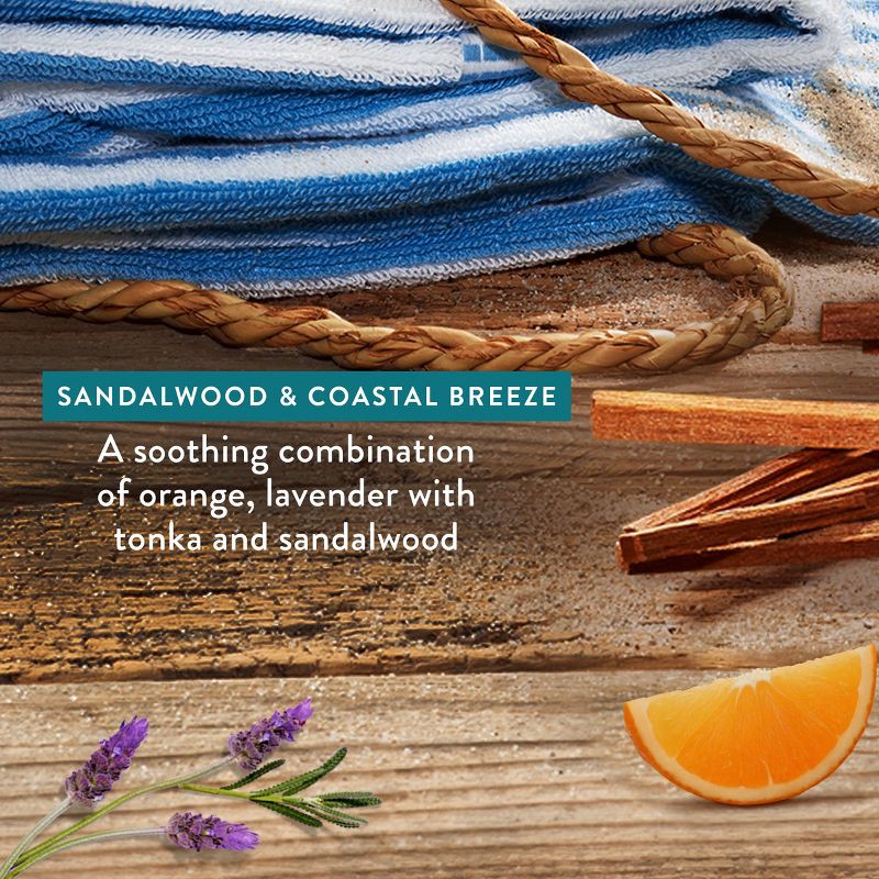 slide 3 of 10, Native Limited Edition Fall Getaway Body Wash - Sandalwood & Coastal Breeze - 18 fl oz, 18 fl oz