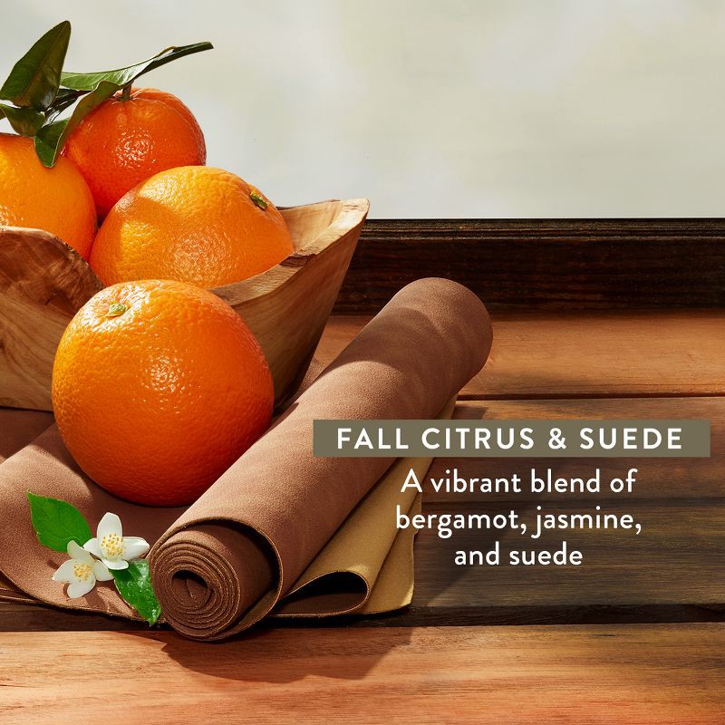 slide 3 of 10, Native Limited Edition Fall Getaway Body Wash - Fall Citrus & Suede - 18 fl oz, 18 fl oz