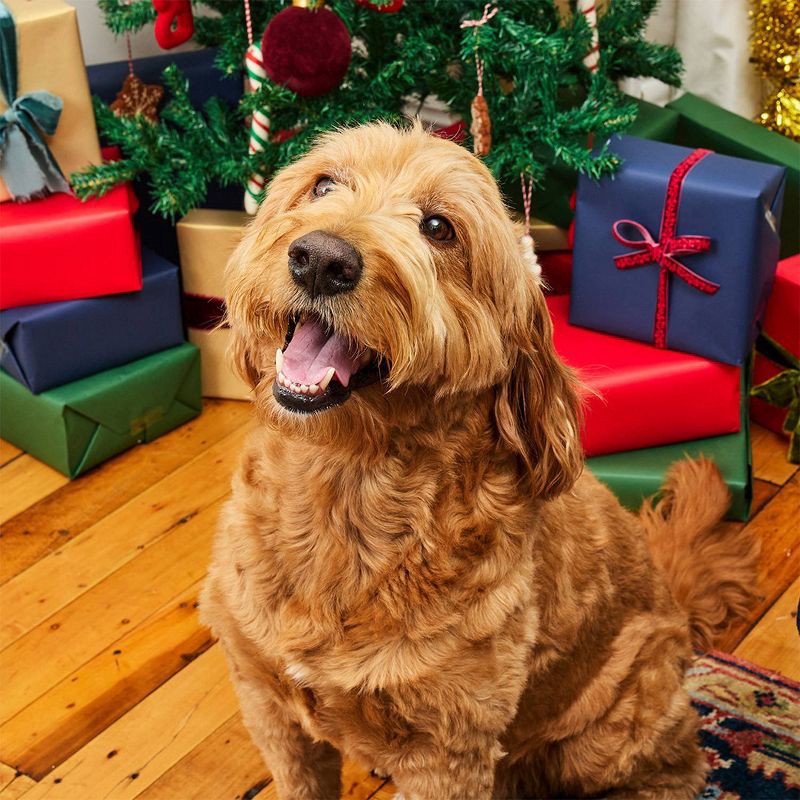 slide 3 of 3, Bocce's Bakery Advent Calendar Variety Pack Flavor Dental, Hard and Crunchy Dog Treats - 2.54oz, 2.54 oz