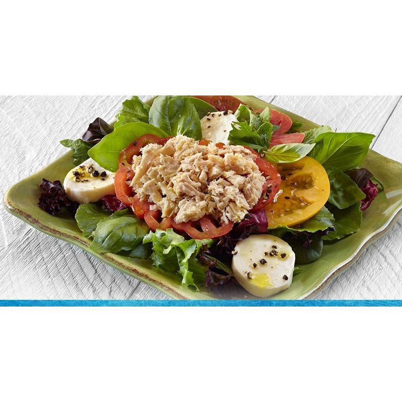 slide 2 of 4, Chicken of the Sea No Drain Solid White Albacore Tuna - 16oz/4ct, 4 ct; 16 oz