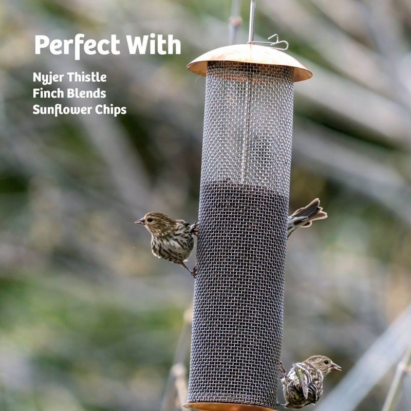 slide 6 of 8, Birds Choice Modern Farmhouse Copper Mesh Bird Tuber Feeder for Finches, 1 ct