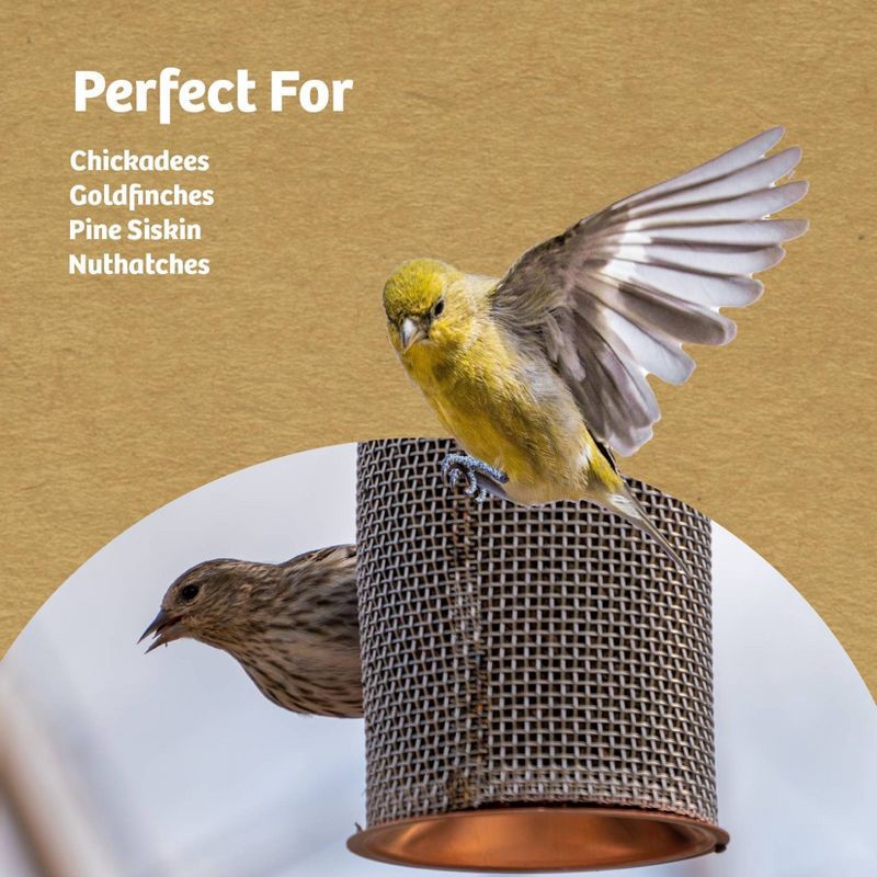 slide 7 of 8, Birds Choice Modern Farmhouse Copper Mesh Bird Tuber Feeder for Finches, 1 ct