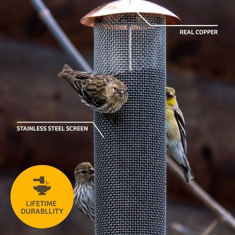 slide 8 of 8, Birds Choice Modern Farmhouse Copper Mesh Bird Tuber Feeder for Finches, 1 ct
