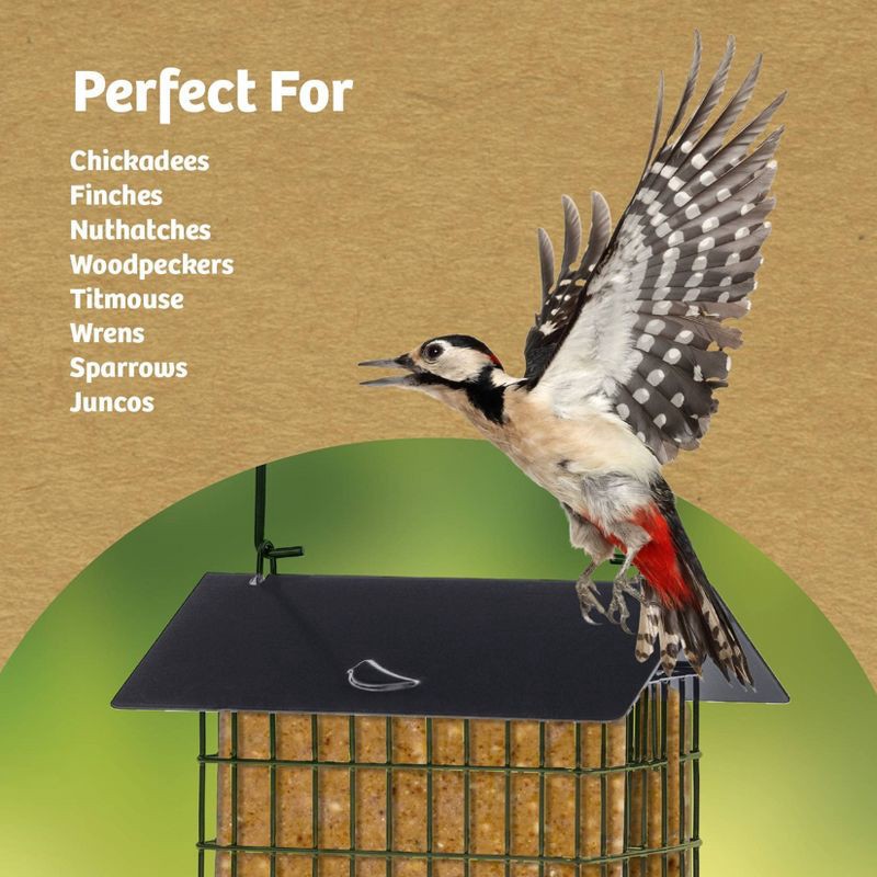 slide 7 of 7, Birds Choice Modern Farmhouse Metal Double Suet Feeder, 1 ct