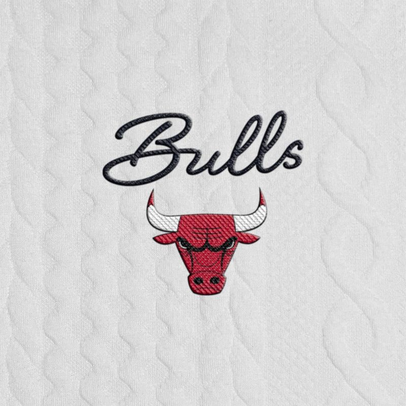 slide 4 of 4, NBA Chicago Bulls Women's Long Sleeve Crusive Textured White Hooded Sweatshirt - S, 1 ct