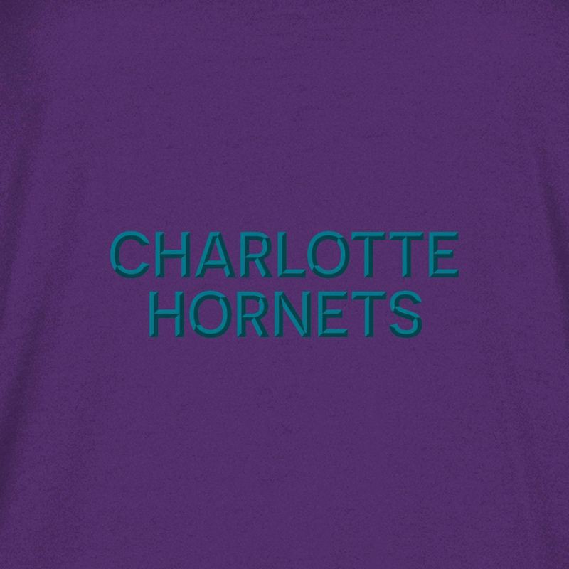 slide 1 of 4, NBA Charlotte Hornets Women's Long Sleeve Hooded Sweatshirt - XL, 1 ct
