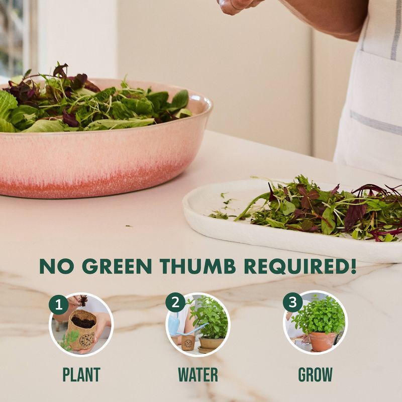 slide 5 of 7, Garden Republic Micro Greens Grow Kit, 1 ct