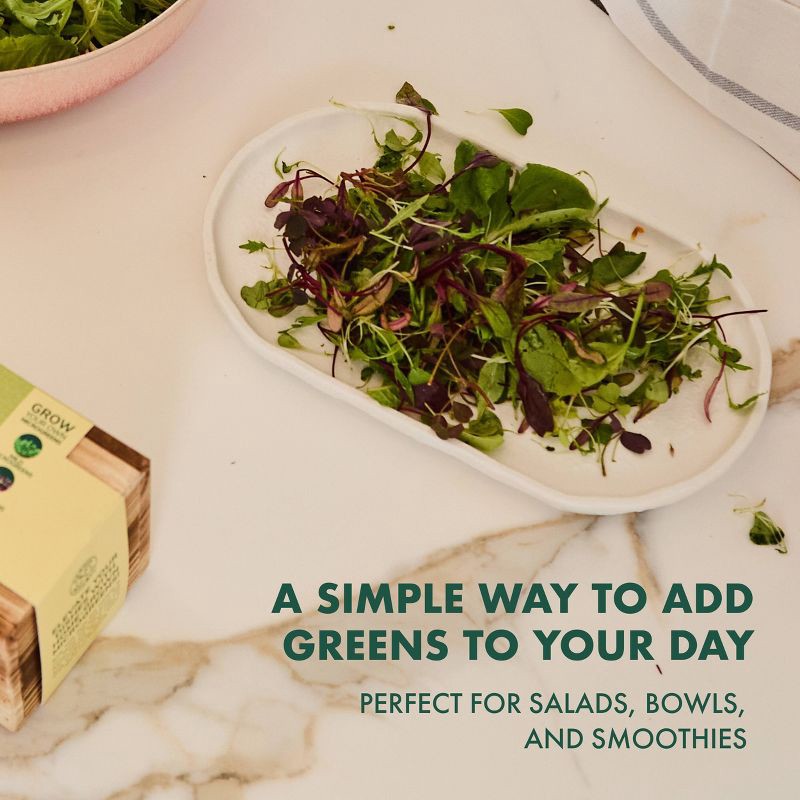 slide 7 of 7, Garden Republic Micro Greens Grow Kit, 1 ct