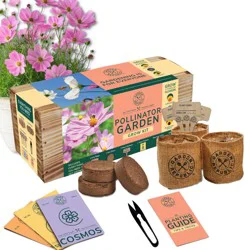 Garden Republic Mini Pollinator Garden Kit
