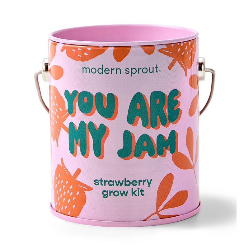 slide 2 of 21, Modern Sprout Complimentary Color Grow You are my Jam Strawberry Seed Starter Kit, 1 ct