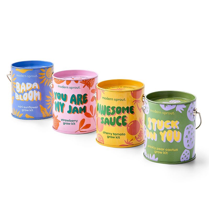 slide 15 of 21, Modern Sprout Complimentary Color Grow You are my Jam Strawberry Seed Starter Kit, 1 ct