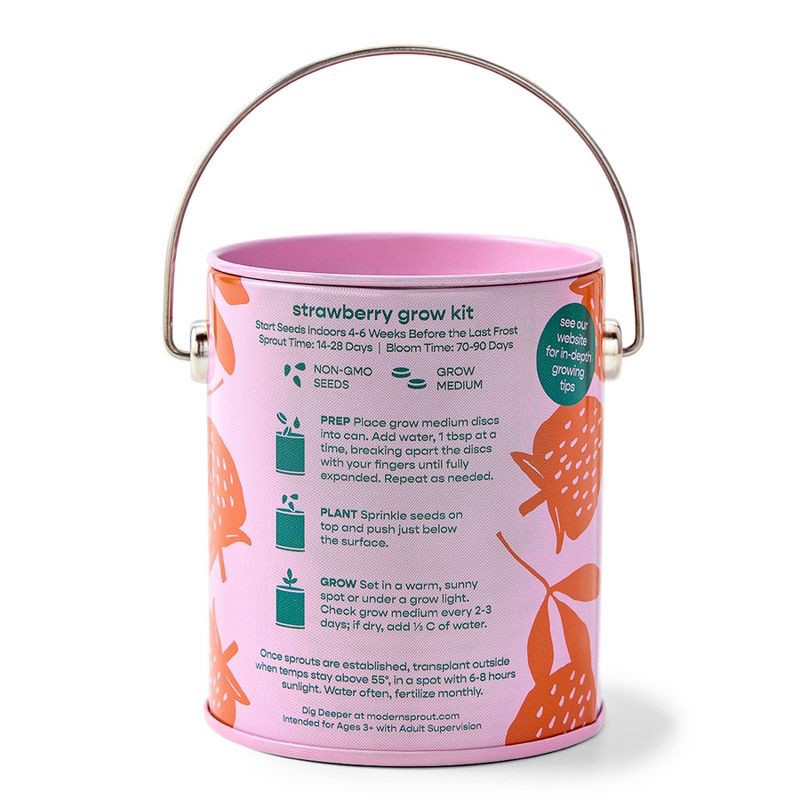 slide 5 of 21, Modern Sprout Complimentary Color Grow You are my Jam Strawberry Seed Starter Kit, 1 ct