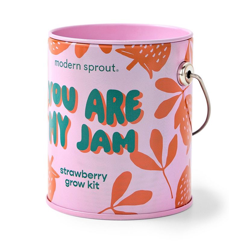 slide 7 of 21, Modern Sprout Complimentary Color Grow You are my Jam Strawberry Seed Starter Kit, 1 ct