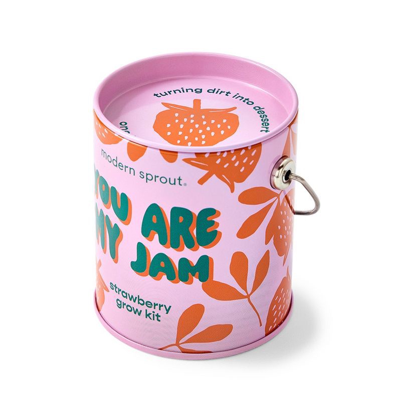 slide 8 of 21, Modern Sprout Complimentary Color Grow You are my Jam Strawberry Seed Starter Kit, 1 ct